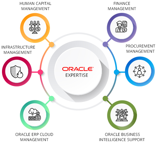 Oracle Erp